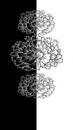 three black and white flowers are in the middle of two different pictures, one is drawn with