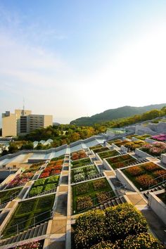 an aerial view of a building with many plants growing on the roof and in the foreground