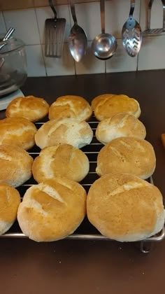 freshly baked bread rolls cooling on a rack