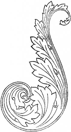 a black and white drawing of a bird's tail with swirls on it