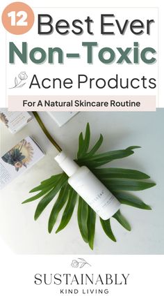 non toxic acne products Natural Skin Care Routine