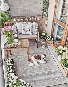 a small dog laying on top of a rug