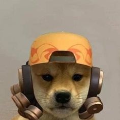 a dog wearing a helmet with headphones on