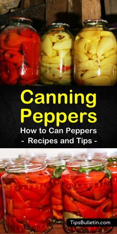 canning peppers in jars with text overlay reading canning peppers how to can peppers - recipes and tips