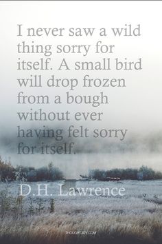 a quote from d h lawence about wild things in the distance with fog and water