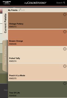 the colorstud app is showing different shades of paint and their corresponding palettes