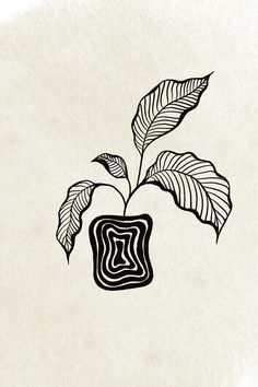 a black and white drawing of a plant in a square vase with leaves on it