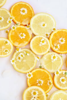 many slices of lemons with daisies on them