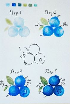 the steps to draw blueberries in watercolor