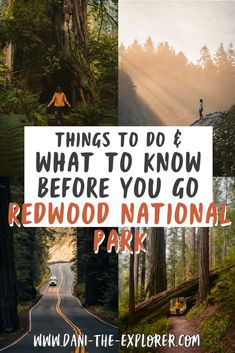 the redwood national park with text overlaying things to do & what to know before you go redwood national park