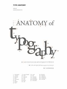 the anatomy of typography