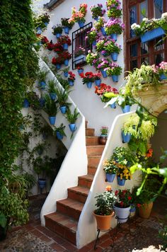 the stairs are covered with potted plants