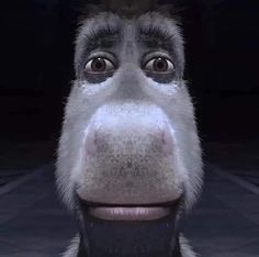 a close up of a monkey's face with an evil look on its face