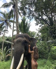 a woman is touching an elephant's tusks while standing in the grass