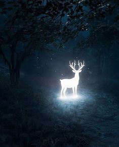 a white deer standing in the middle of a forest at night with its head turned to light up