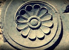 a close up view of a flower on a stone wall ornament in the shape of a circle