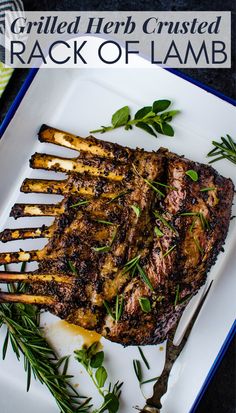 grilled herb crusted rack of lamb on a white platter with fresh herbs