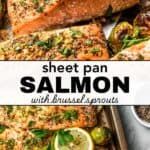 sheet pan salmon with brussel sprouts and lemons on the side