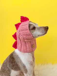 a small dog wearing a pink knitted hat