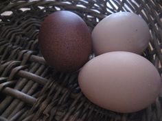 three eggs in a wicker basket on top of a table with one brown egg