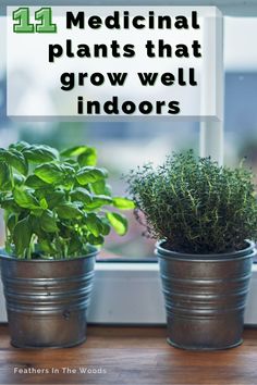 three potted plants on a window sill with the words 11 medical plants that grow well indoors