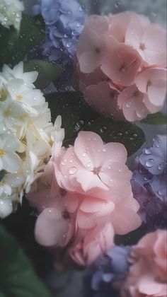 some pink and blue flowers with water droplets on them are floating in the air,