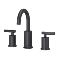 two faucets with black handles and nozzles on the sides, one is shown