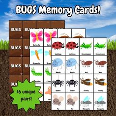 bugs memory cards with the words bug's in english and french on them, along with