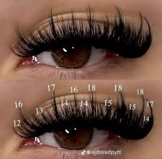 Lash Maps, Best Lash Extensions, Lashes Tutorial, Eyelash Tips, Eyelash Technician, Cat Eye Lash