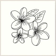 Lightly textured 100% cotton paper. Gallery quality vibrant prints with white border for easy framing. Multiple standard sizes offered. Additional sizes are available. A simple but beautiful black and white line drawing of a flower. Line Drawing Flowers, Drawing Of A Flower, Flower Line Drawings, Black And White Lines, White Line, Flower Doodles, Diy Projects To Try, Vibrant Prints, Flower Drawing