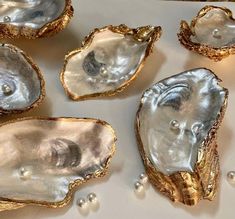 several oysters on a white surface with pearls