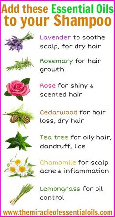 7 Essential Oils to Add to Your Shampoo for Beautiful Hair - The Miracle of Essential Oils