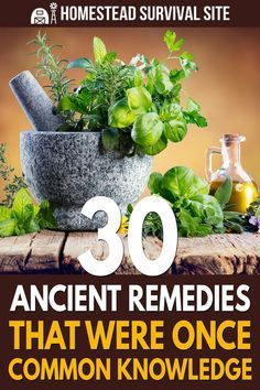 Ancient Remedies, Natural Medicines, Common Knowledge, Cold Sores Remedies, Natural Sleep Remedies, Herbal Healing, Home Health Remedies