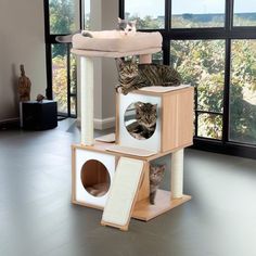 two cats sitting on top of a cat tree