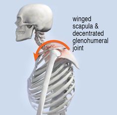 Nerve Flossing, Punkty Spustowe, Corrective Exercises, Shoulder Anatomy, Shoulder Posture, Occipital Neuralgia, Shoulder Mobility, Vestibular System, Body Alignment