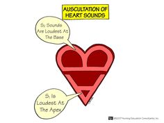 a heart with two speech bubbles above it that say, ausculation of heart sounds