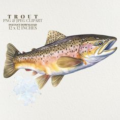 a watercolor painting of a brown fish