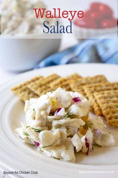 a white plate topped with crackers and salad