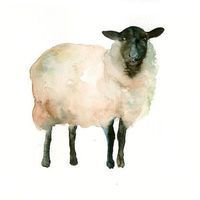 a watercolor painting of a sheep standing in the snow