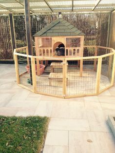 a small wooden structure in the middle of a yard