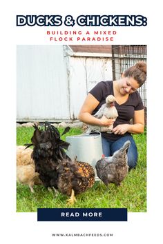 Chickens in field Ducks And Chickens Together, Ducks And Chickens, Equine Nutrition, Raising Ducks, Egg Quality, Duck Eggs, Backyard Poultry