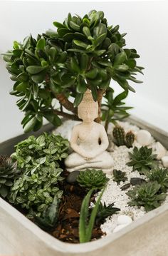 a potted plant sitting on top of a table next to a buddha statue and other plants