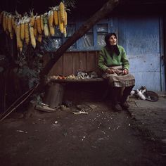 a woman sitting on a bench next to a bunch of bananas hanging from a tree