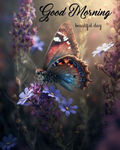 a butterfly sitting on top of purple flowers with the words, good morning beautiful day