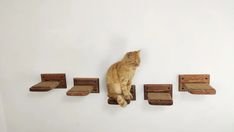 an orange cat sitting on top of a wooden shelf next to several pieces of wood