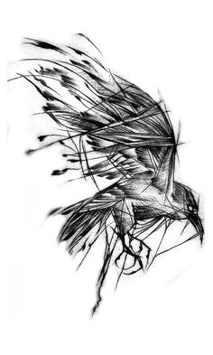 a drawing of a bird flying through the air