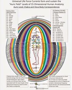 Chakra Health, Earth's Core, Rhodiola Rosea, Spirit Science, Energy Healing Spirituality, Kuan Yin, Life Force Energy, Les Chakras, Nikola Tesla