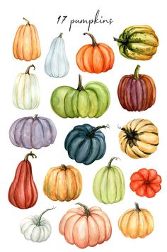 watercolor pumpkins are shown in different colors