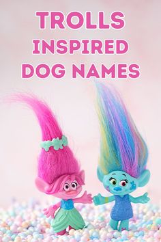 trolls inspired dog names are featured in this image