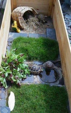 a small turtle in a wooden box with grass and rocks on the ground next to it